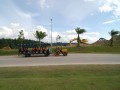 Tn DSC 6653